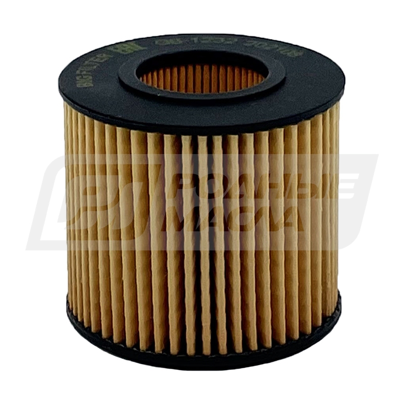 BIG FILTER GB-1232 (O117, O119, HU6006Z, OE6853, Toyota 0415240060) GB1232